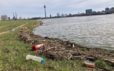 Düsseldorf: So war der Dreck-weg-Tag