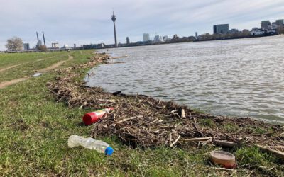 Dreck-Weg-Tag in Düsseldorf